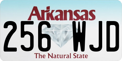 AR license plate 256WJD