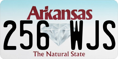 AR license plate 256WJS