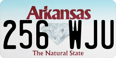 AR license plate 256WJU