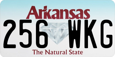 AR license plate 256WKG