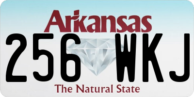 AR license plate 256WKJ