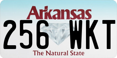 AR license plate 256WKT