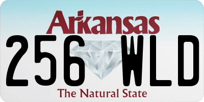 AR license plate 256WLD