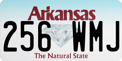 AR license plate 256WMJ