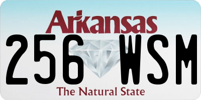 AR license plate 256WSM