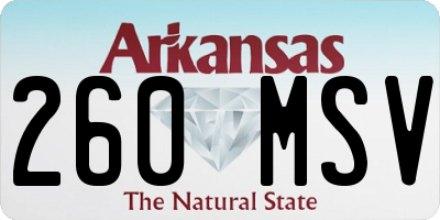 AR license plate 260MSV