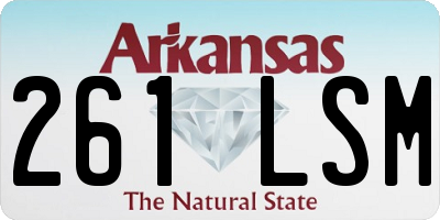 AR license plate 261LSM