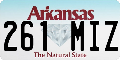 AR license plate 261MIZ
