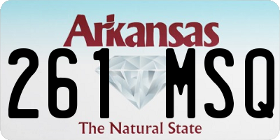 AR license plate 261MSQ