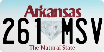 AR license plate 261MSV