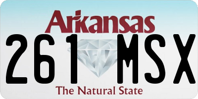 AR license plate 261MSX