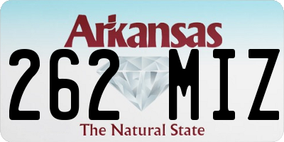 AR license plate 262MIZ