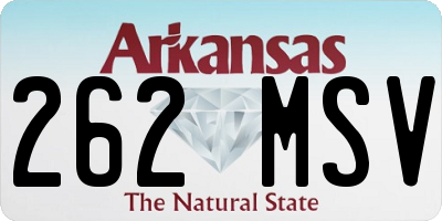 AR license plate 262MSV