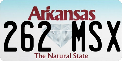 AR license plate 262MSX