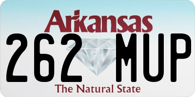 AR license plate 262MUP