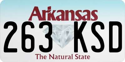 AR license plate 263KSD