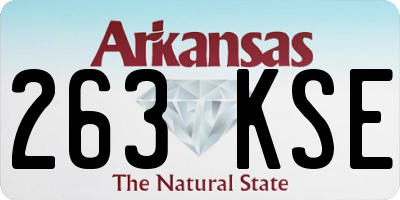 AR license plate 263KSE