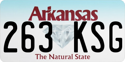 AR license plate 263KSG