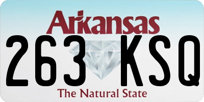 AR license plate 263KSQ