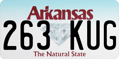 AR license plate 263KUG