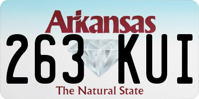 AR license plate 263KUI