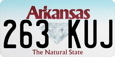 AR license plate 263KUJ