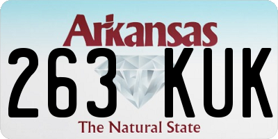 AR license plate 263KUK