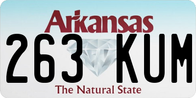 AR license plate 263KUM