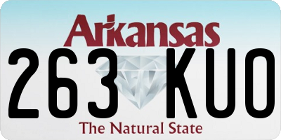 AR license plate 263KUO