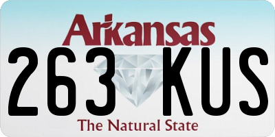 AR license plate 263KUS