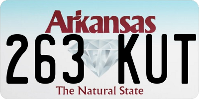 AR license plate 263KUT