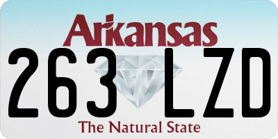 AR license plate 263LZD