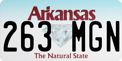 AR license plate 263MGN