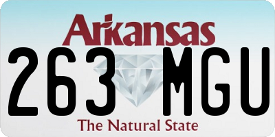 AR license plate 263MGU