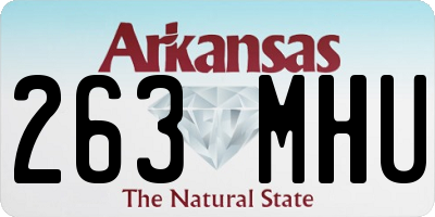 AR license plate 263MHU