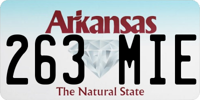 AR license plate 263MIE