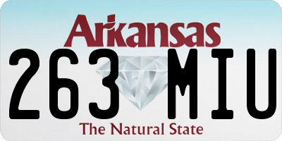 AR license plate 263MIU