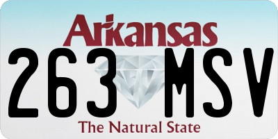 AR license plate 263MSV