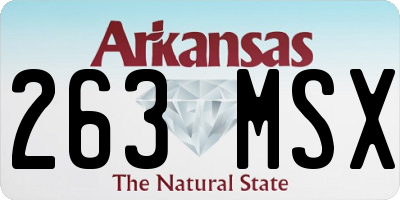 AR license plate 263MSX