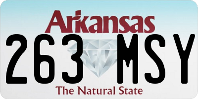 AR license plate 263MSY