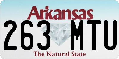 AR license plate 263MTU