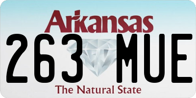 AR license plate 263MUE