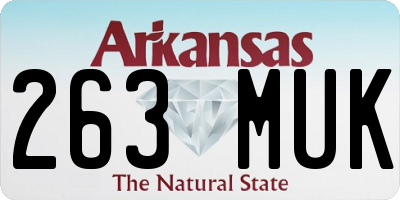 AR license plate 263MUK