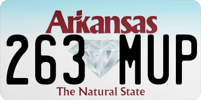 AR license plate 263MUP