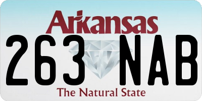 AR license plate 263NAB