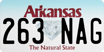 AR license plate 263NAG