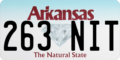 AR license plate 263NIT