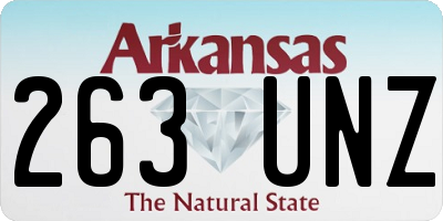 AR license plate 263UNZ