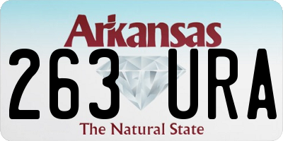AR license plate 263URA