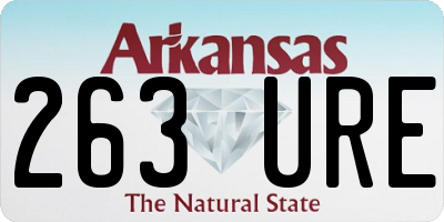 AR license plate 263URE